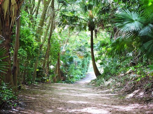 20 Nature Walks and Day Hikes Hiking Bermuda